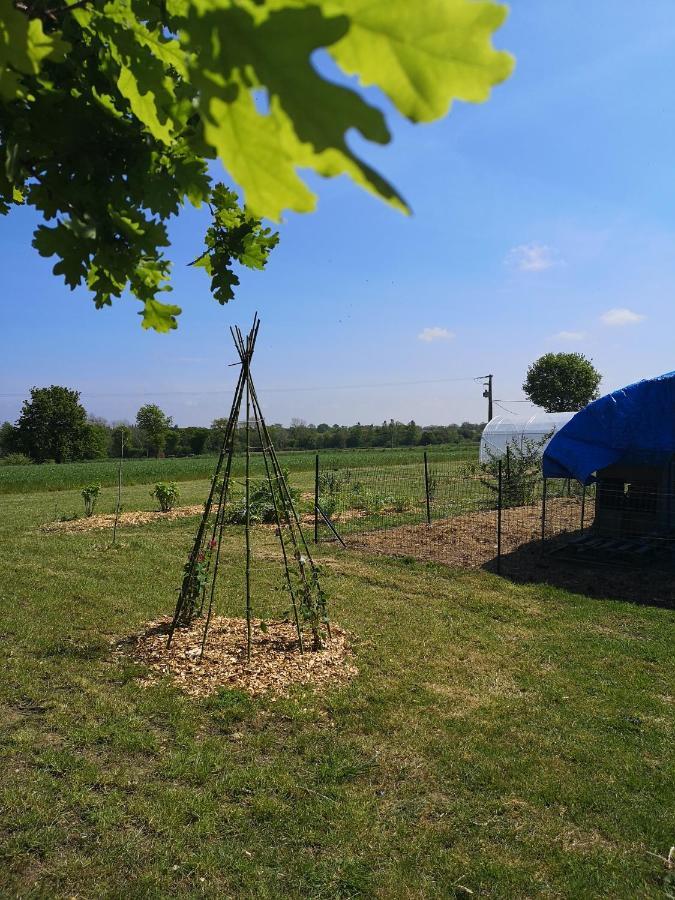 Gîte de L'Hermine  Pommerit-Jaudy Extérieur photo